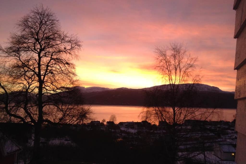 Balestrand Fjordapartments Holmen 19A Exteriör bild